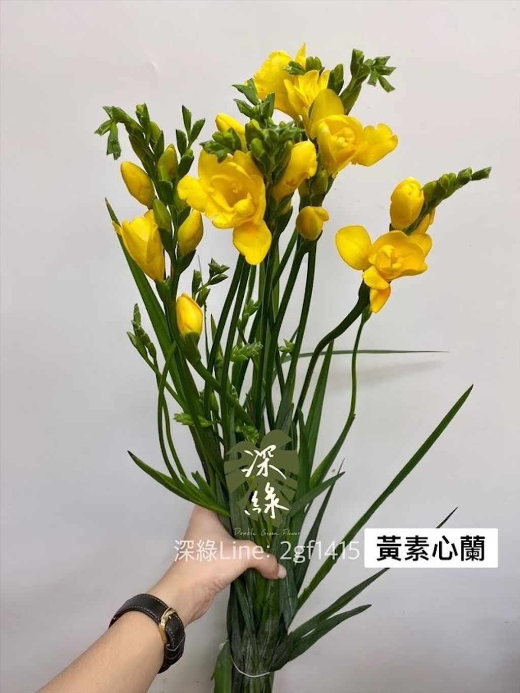 AIL4fc-bia5arg3R6_tboKDBwfbH-54hIwP0IK8lcplrpTCy7mi2t6QF48UiTEXIEdL3FYvQr6hjdyWqUqtQIFWswp5B3zC7R6zbMz_qMKZErrxGaVenIFzzziN06IyJKWhnsA4NzyG0UQzVNj0UXqs6PWIl=w634-h845-s-no