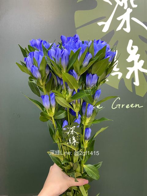 S__26452067