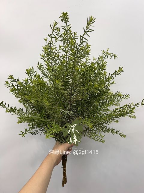 S__5742989