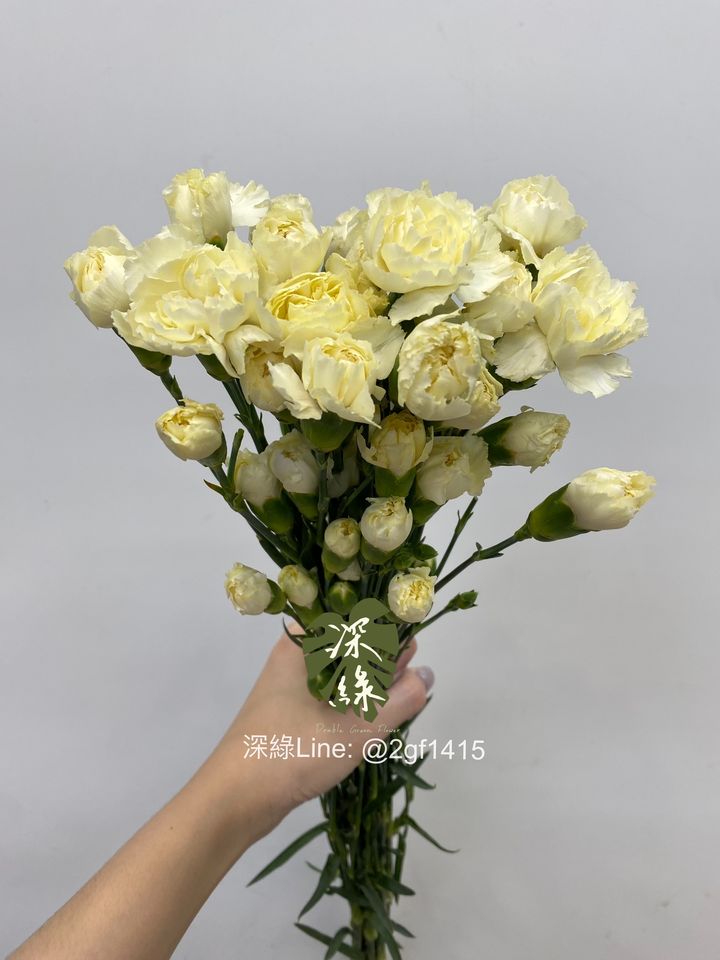 eZy Watermark_03-06-2024_07-01-51-1690下午-1717412826979