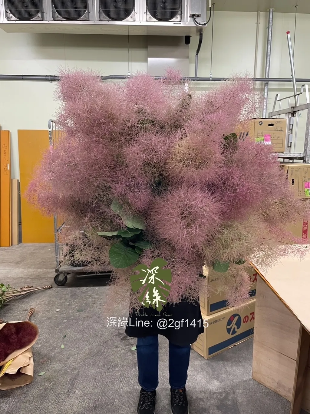 eZy Watermark_04-06-2024_05-06-44-6170下午-1717492048054