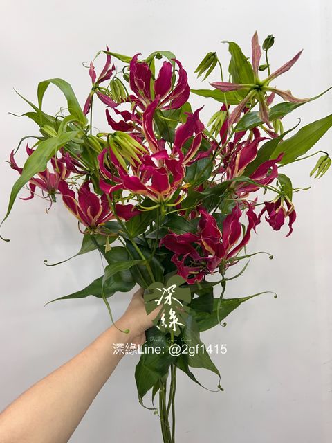 eZy Watermark_04-06-2024_06-21-30-0350下午-1717496536474