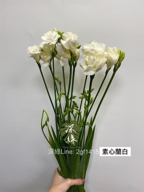 AIL4fc9GQFlwMA02oDi8EwgGoml4jtoJT9XTVHADv8n6SUgL7jvAIFf9oc_raBor1xxpbtOpYs2oLADWvvRIuKBWYcZvJYOI9gjtTeZEuwJaYfLLqZ7klT9uIIskVezeMdT-KVphorDVSx7JeAB43pW8csm6=w634-h845-s-no