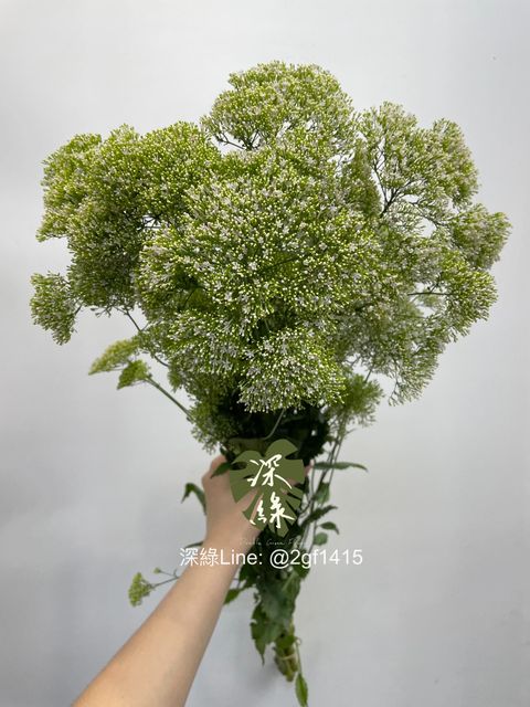 eZy Watermark_06-06-2024_03-30-10-3840下午-1717659408446