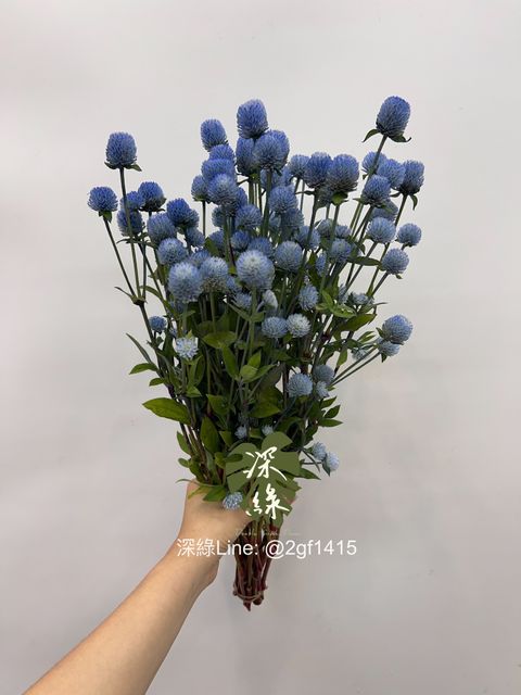 IMG_2941-1718085556495