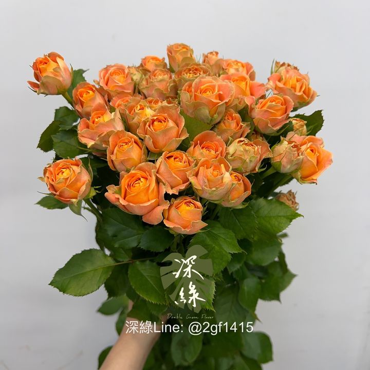 IMG_2948-1718085730854