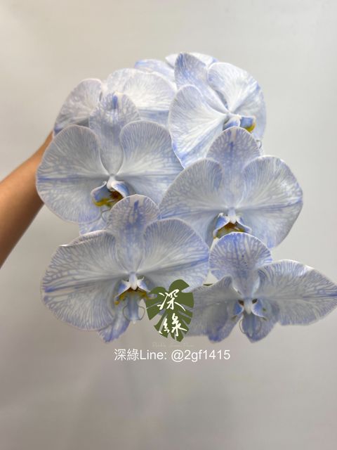 eZy Watermark_12-06-2024_01-59-28-3340下午-1718172038750