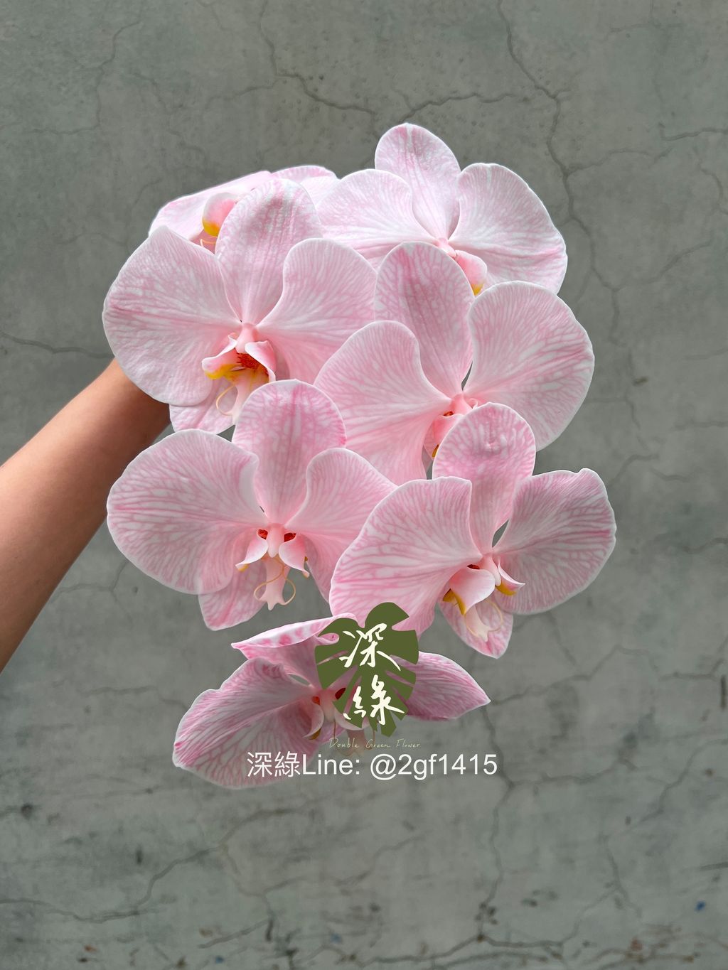 eZy Watermark_12-06-2024_01-59-29-1220下午-1718172149777