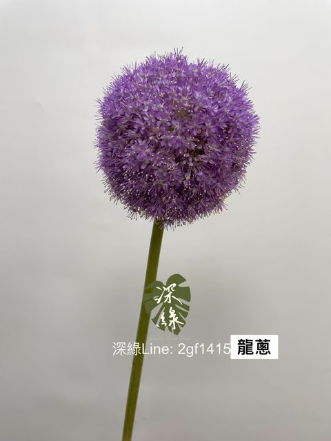 5A5DF183-171F-4675-A340-B0C17640AC73