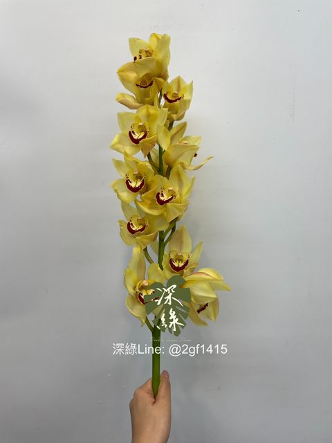eZy Watermark_17-06-2024_01-22-17-7800下午-1718601938994