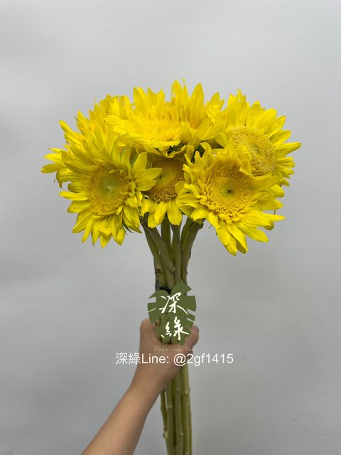 eZy Watermark_17-06-2024_01-22-20-0130下午-1718602261792