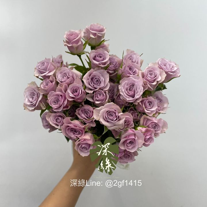 IMG_2401-1718607705022