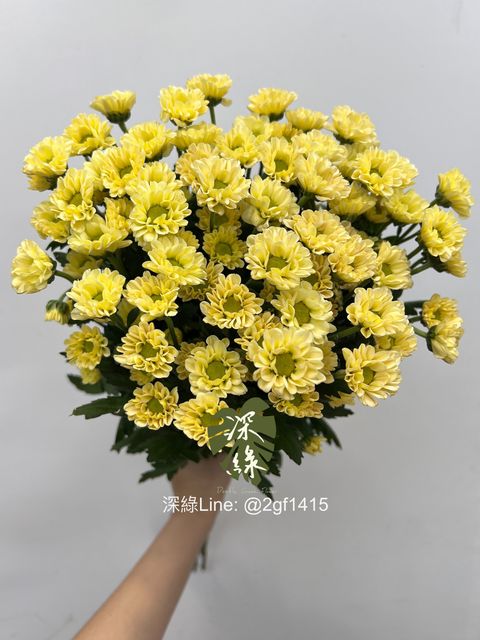 eZy Watermark_18-06-2024_12-04-56-4910下午-1718683595818