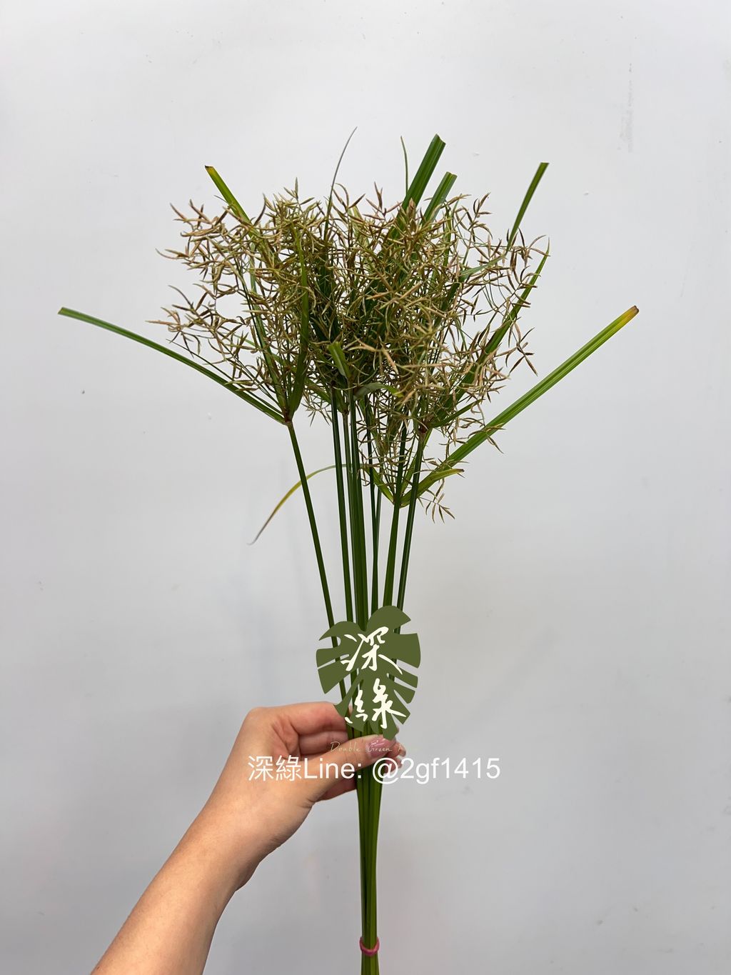 eZy Watermark_18-06-2024_12-04-56-2200下午-1718684950815
