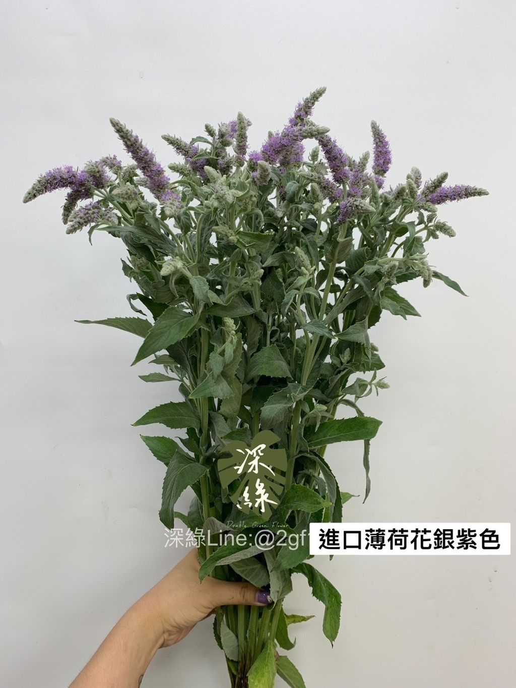 F605BDEC-EC7C-433C-A277-B3B38193E434