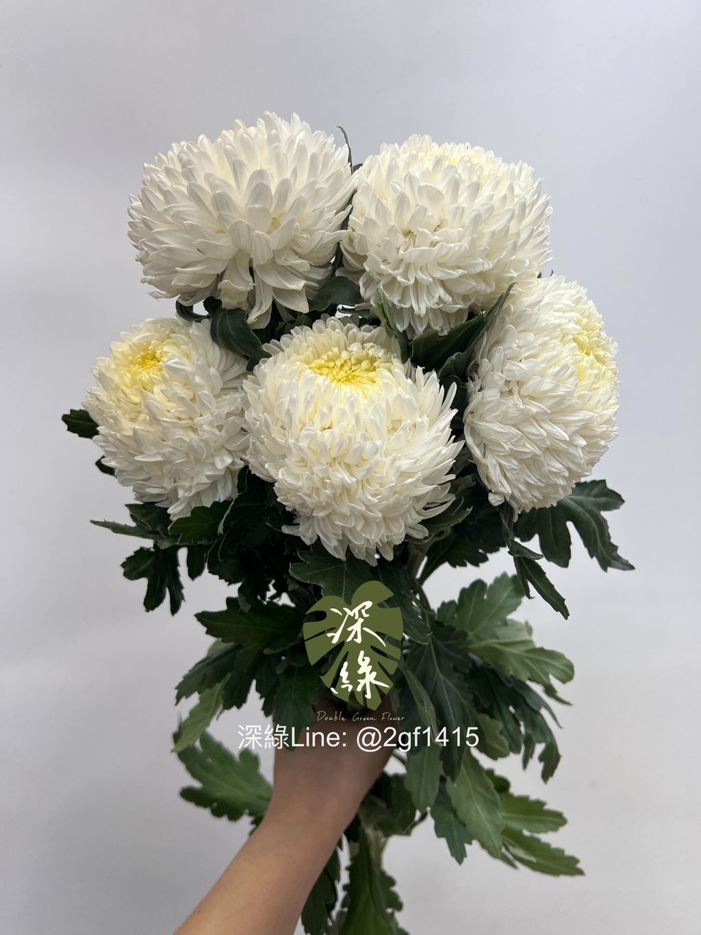 eZy Watermark_20-06-2024_02-19-10-3040下午-1718865083349