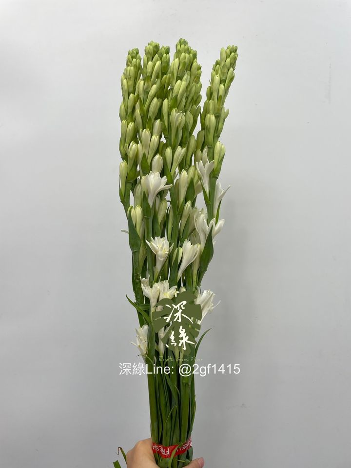 IMG_9155-1718947717832