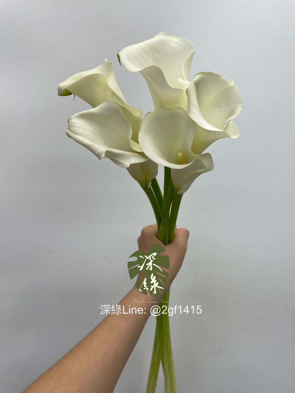IMG_9151-1718947789931