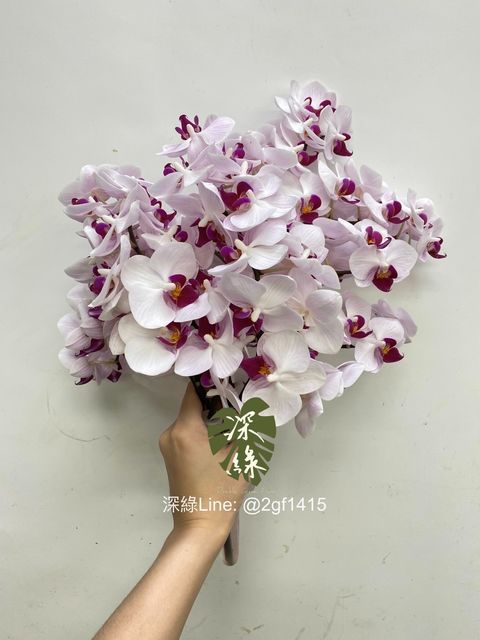 eZy Watermark_22-06-2024_09-20-33-9310上午-1719019247698