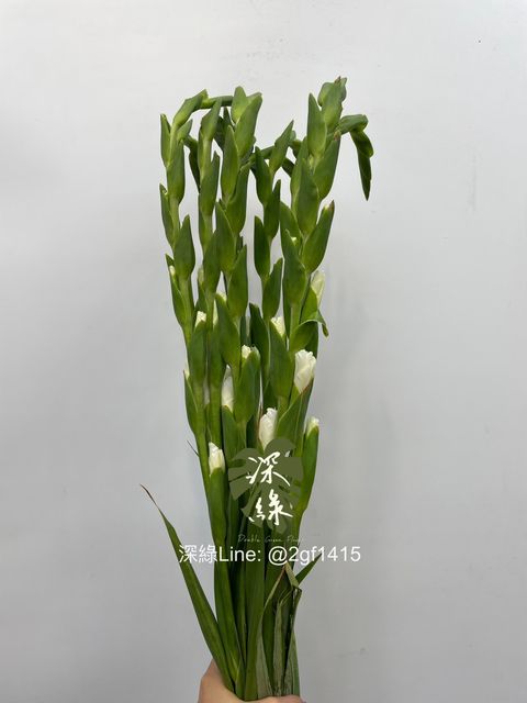 IMG_9257-1719217275997