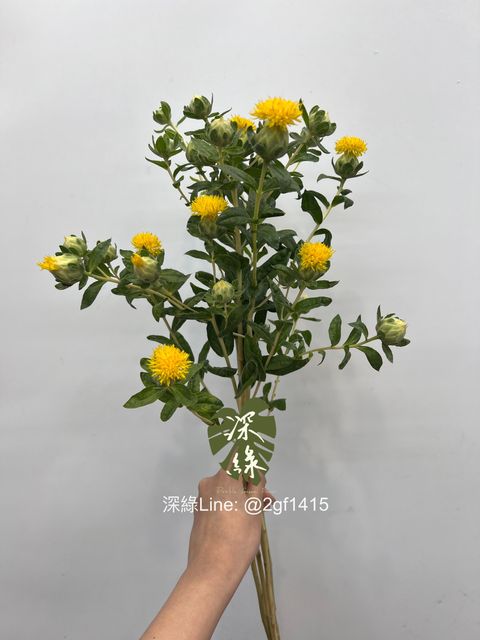 eZy Watermark_28-06-2024_09-45-36-4110上午-1719539157597