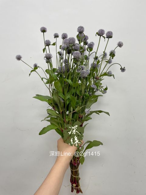 eZy Watermark_30-06-2024_08-27-09-1700下午-1719750612616