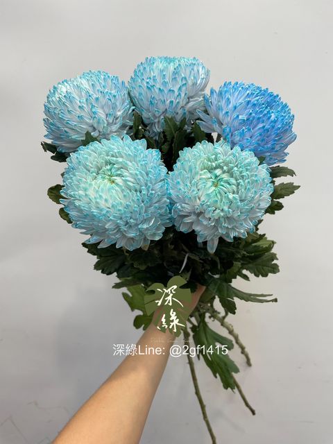 IMG_8737-1719897082466