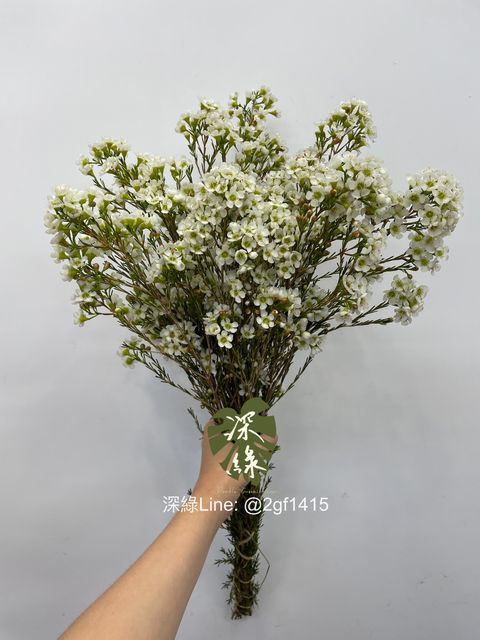 eZy Watermark_04-07-2024_12-33-30-0000下午-1720067675008