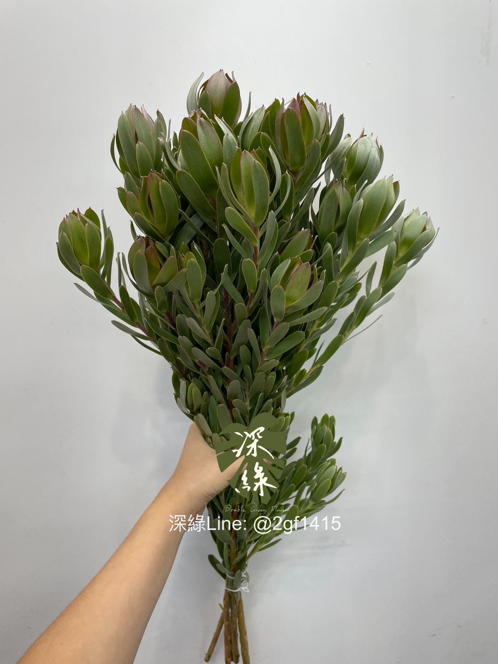 eZy Watermark_04-07-2024_12-33-30-5360下午-1720067779156