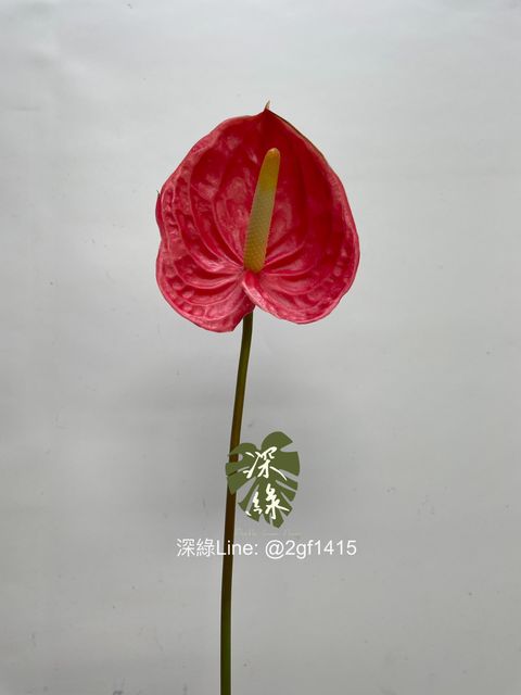 eZy Watermark_05-07-2024_12-00-52-1860下午-1720152068863