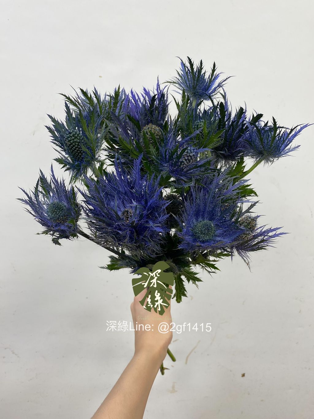 eZy Watermark_15-07-2024_07-25-13-5840下午-1721043929631