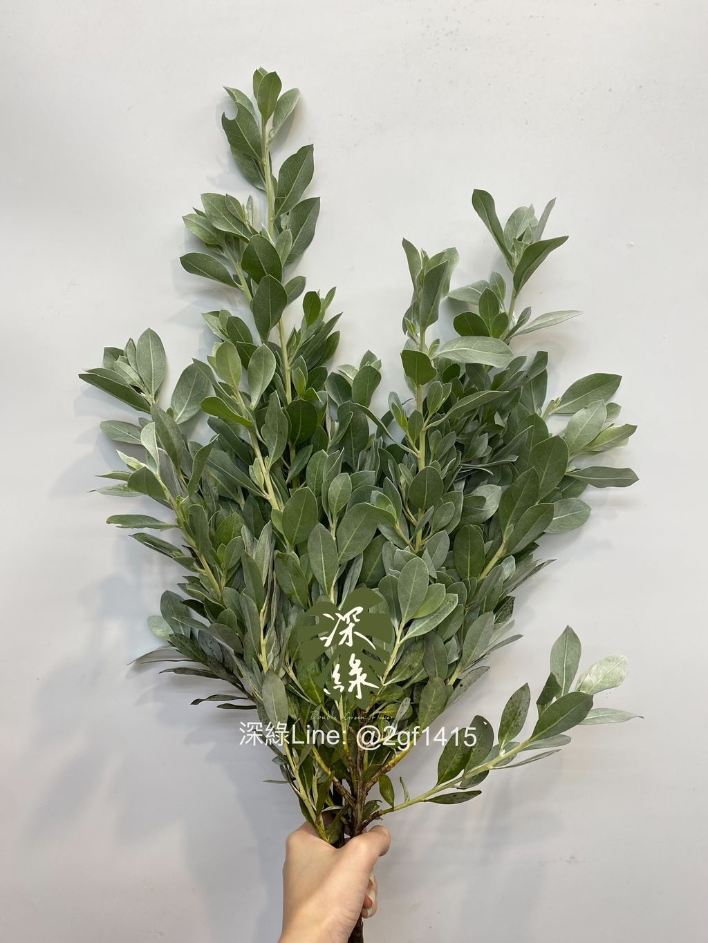 eZy Watermark_15-07-2024_07-25-11-2780下午-1721044488622