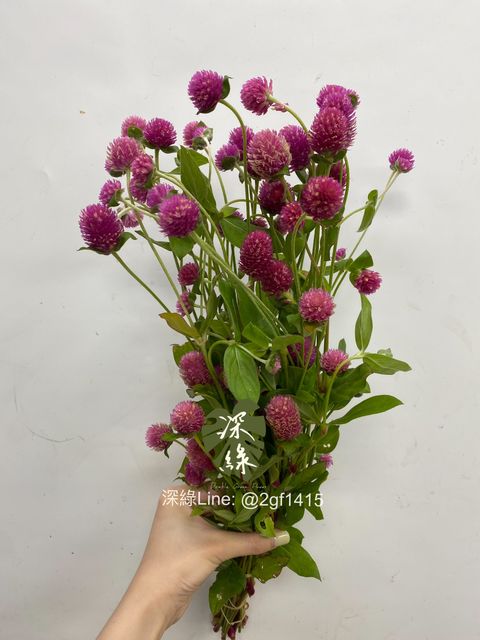 eZy Watermark_15-07-2024_07-25-15-0380下午-1721044546990