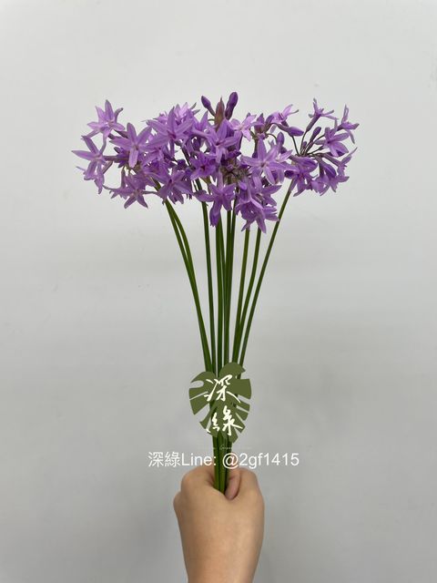 eZy Watermark_15-07-2024_12-47-01-8650下午-1721094870256
