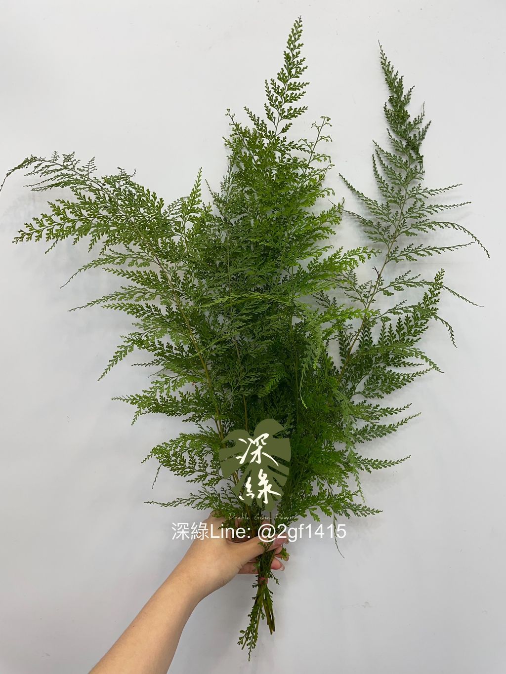 eZy Watermark_16-07-2024_12-16-48-8980下午-1721103511364