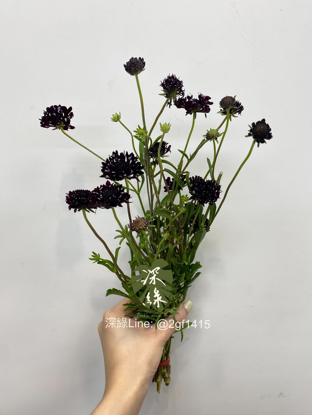 eZy Watermark_17-07-2024_11-36-37-2390上午-1721187642954