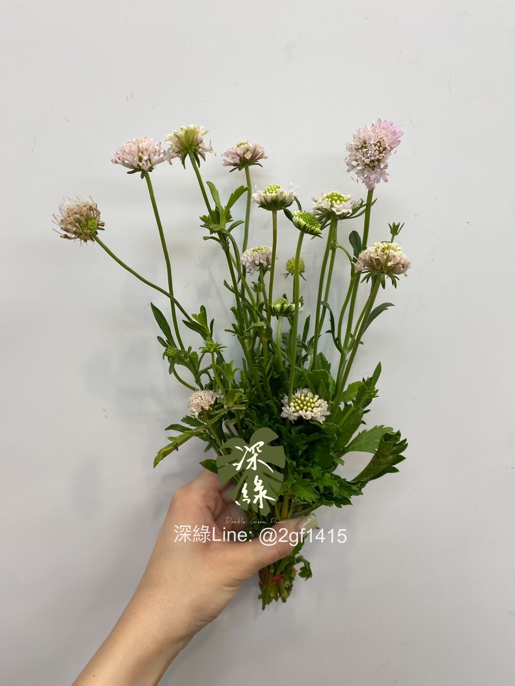 eZy Watermark_17-07-2024_11-36-37-8040上午-1721187662663