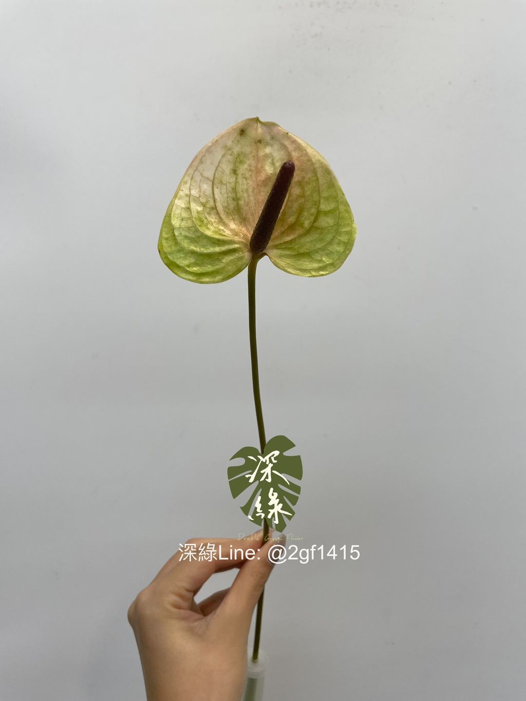 eZy Watermark_20-07-2024_10-35-29-5860上午-1721442966311