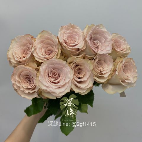 DD9AB65E-B76C-4C90-87A9-05C6FE519CFE