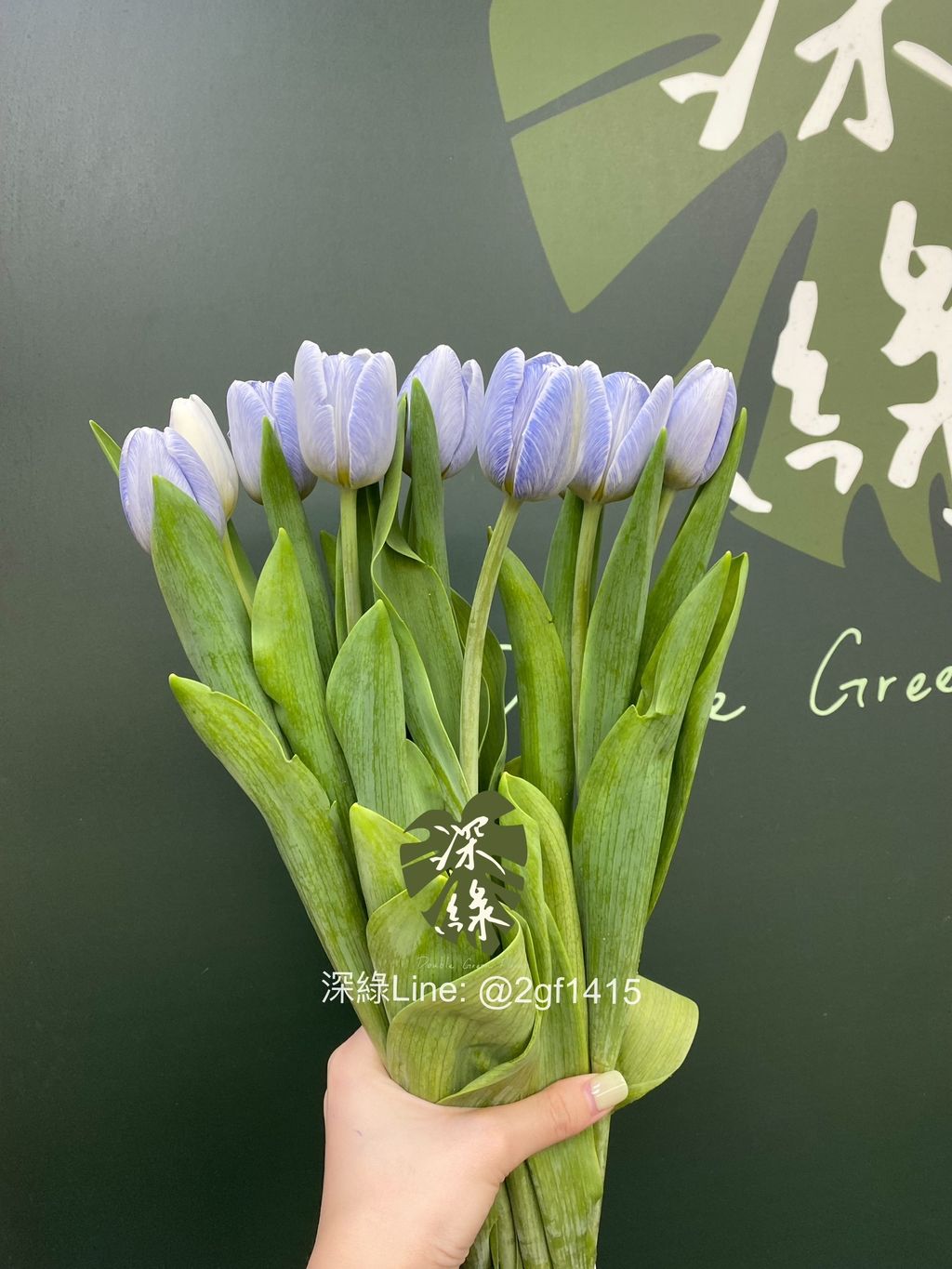 IMG_3742-1721622149394