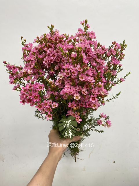eZy Watermark_22-07-2024_11-43-38-6800上午-1721628231043