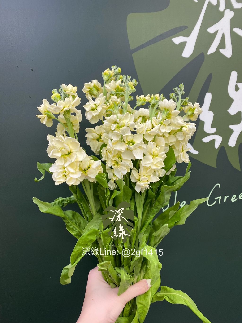 eZy Watermark_22-07-2024_02-02-40-4990下午-1721628534534