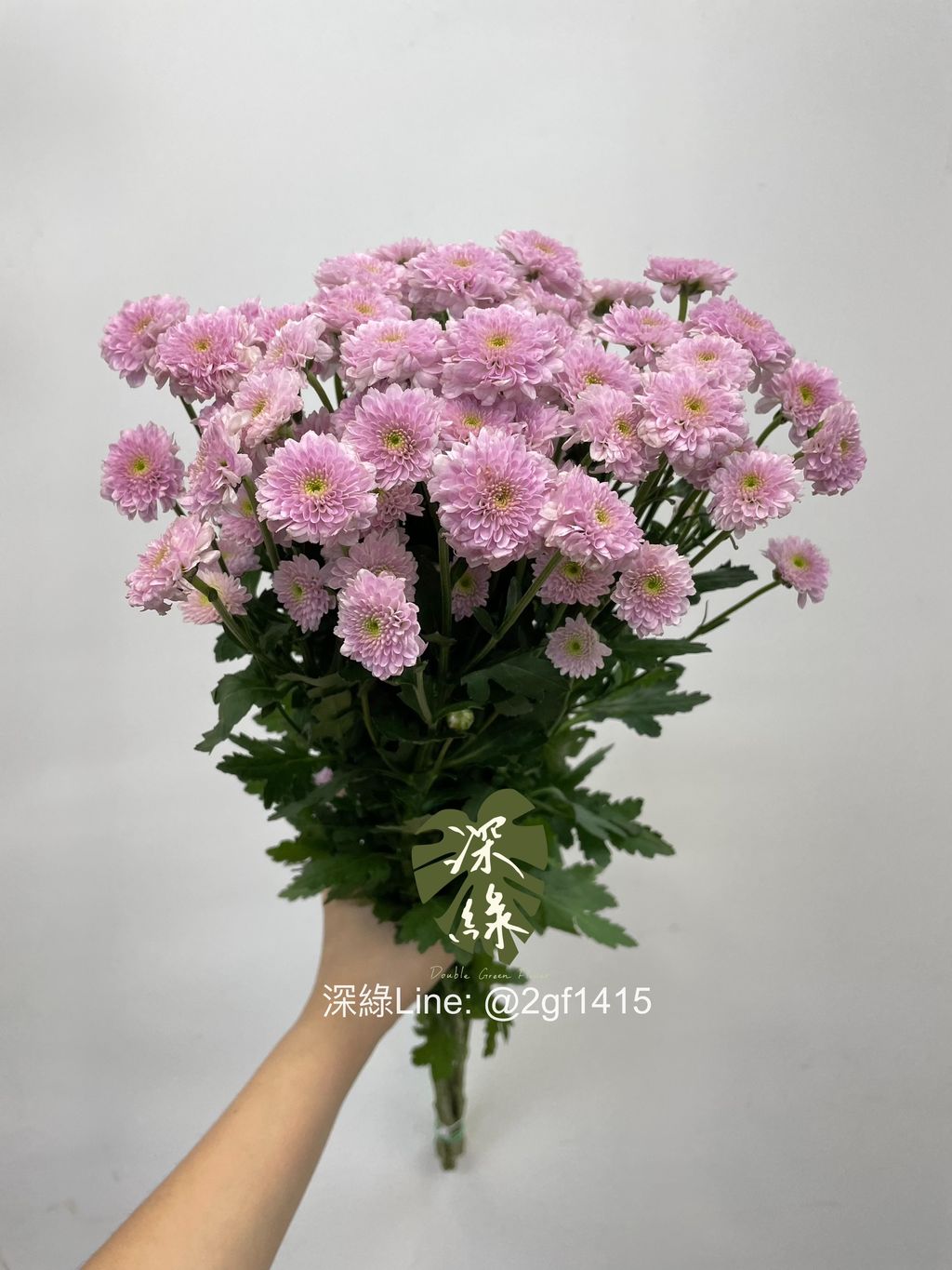 eZy Watermark_29-07-2024_01-47-50-3430下午-1722232170196