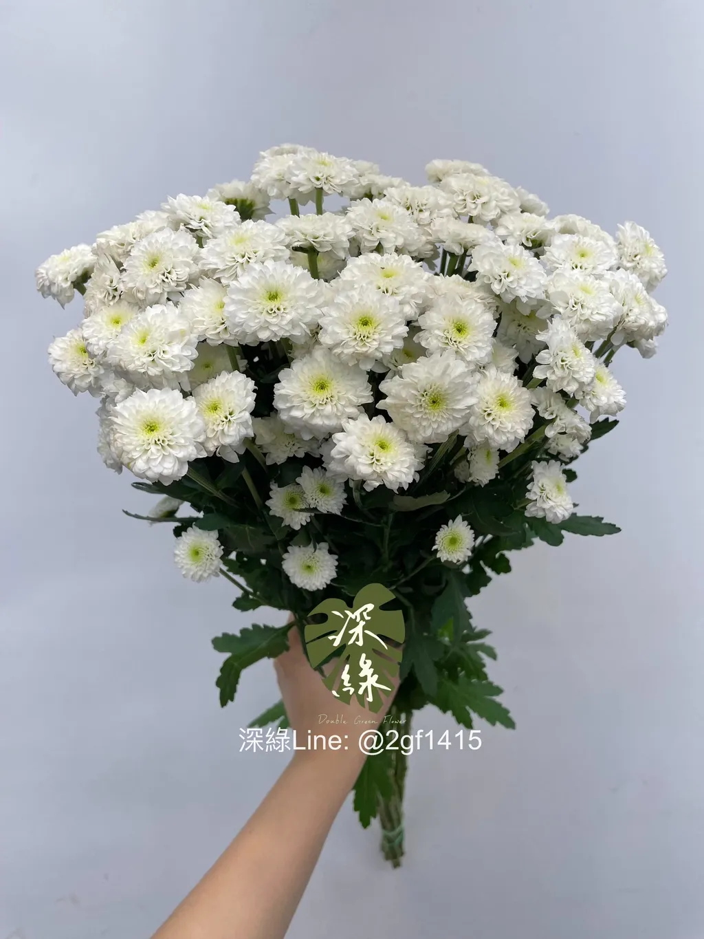eZy Watermark_29-07-2024_02-11-30-6400下午-1722233496372