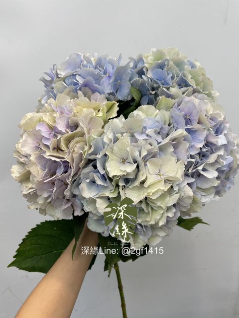 eZy Watermark_29-07-2024_01-47-48-7330下午-1722234489442