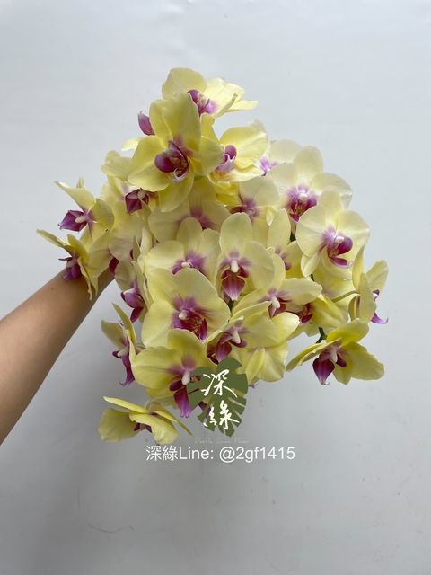 eZy Watermark_30-07-2024_09-54-33-7990上午-1722307193667