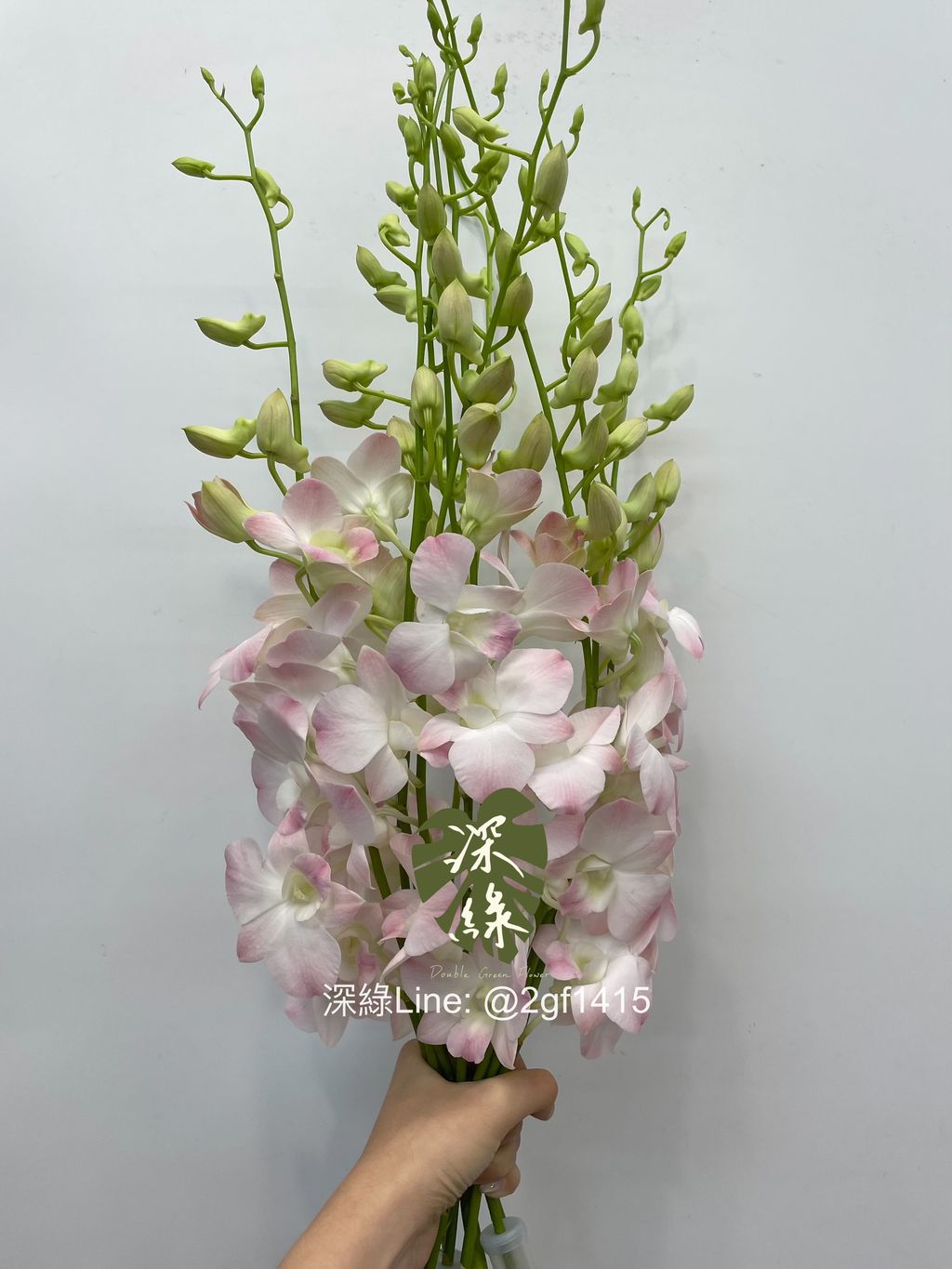 eZy Watermark_05-08-2024_03-07-20-9220下午-1722841711066