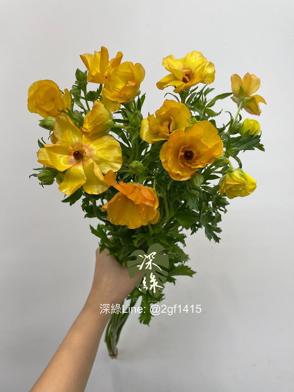 IMG_4122-1723177465064
