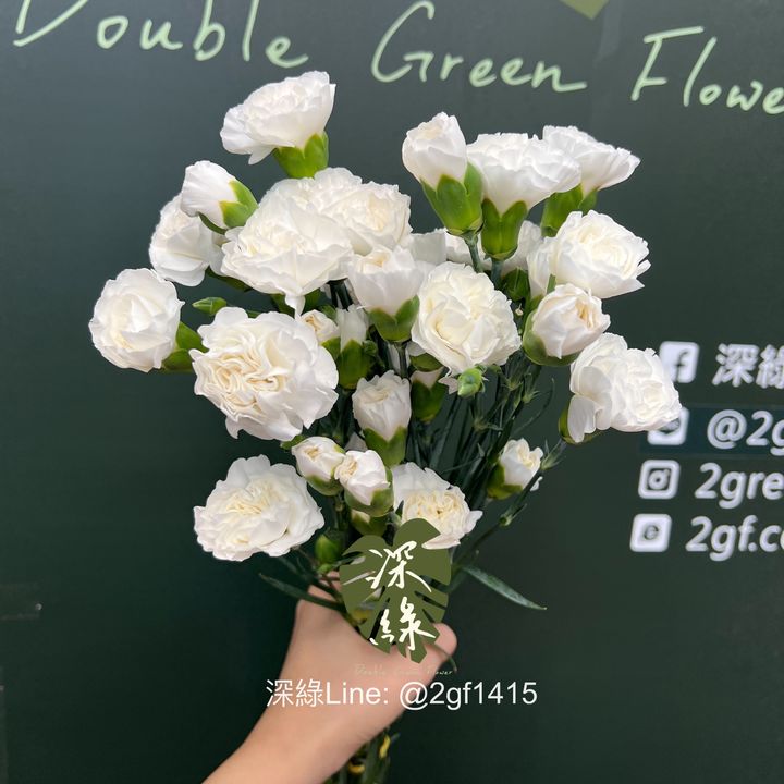 eZy Watermark_19-08-2024_01-28-23-7160下午-1724045400059