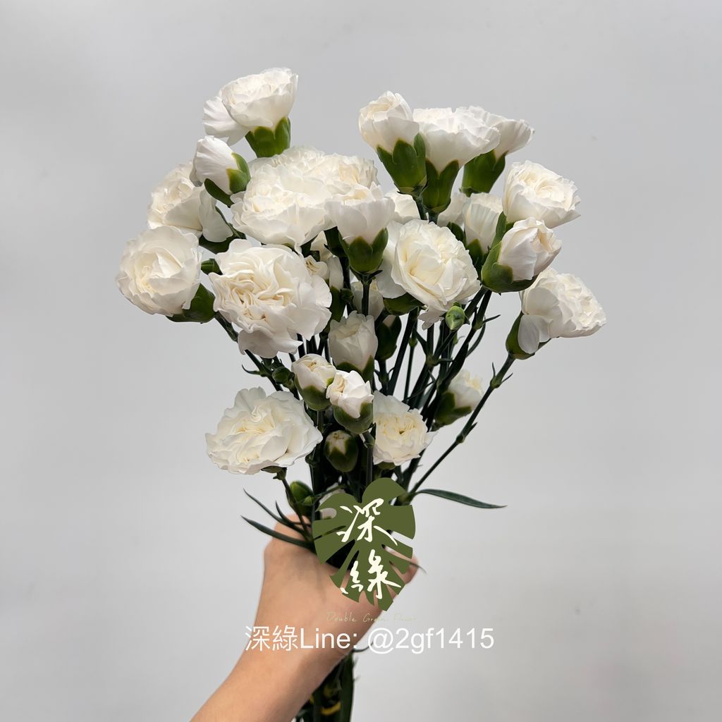 eZy Watermark_19-08-2024_01-28-23-4330下午-1724045413556